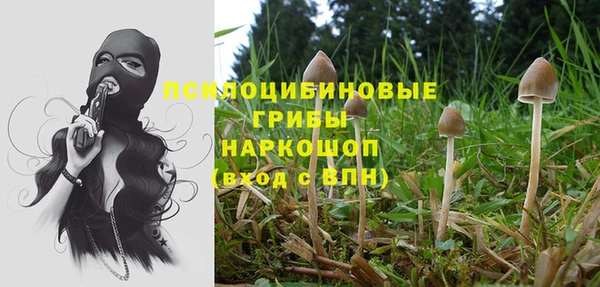 дмт Няндома